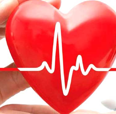 Heart Health and Its Connection to Everyday Energy Levels
