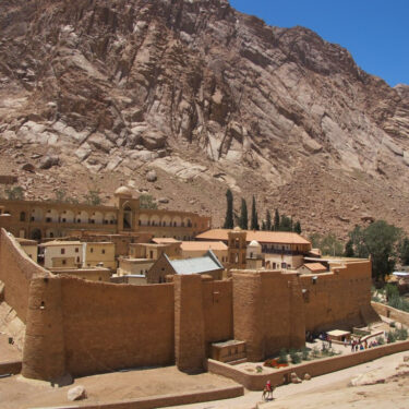 Bunions: Are They Inherited or Caused by Lifestyle?