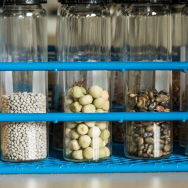 Common Food Allergens and How To Avoid Them