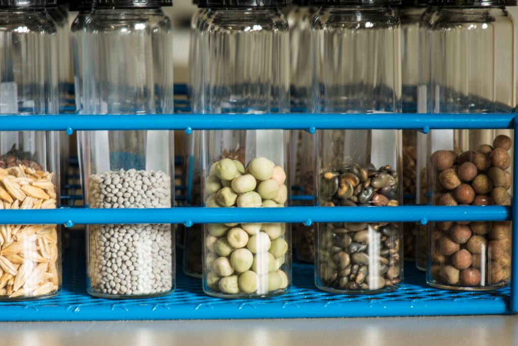 Common Food Allergens and How To Avoid Them