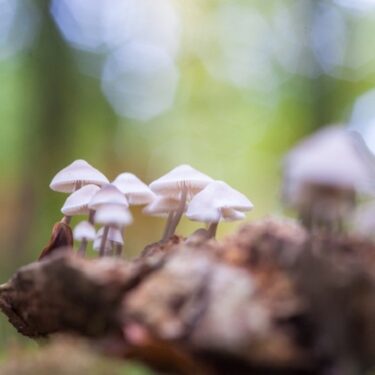 FAQs About Ketamine Treatments