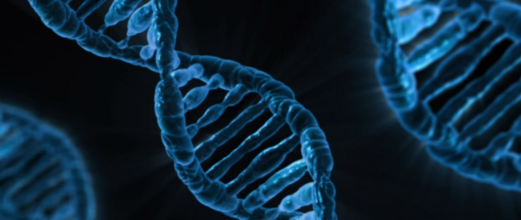 OB/GYN's Role in Cancer Prevention and Screening
