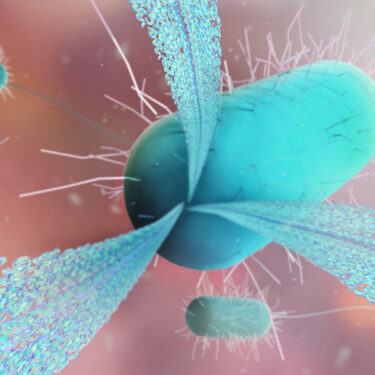 The Science Behind Peptide Therapy and How It Works